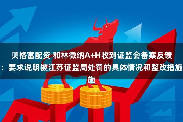 贝格富配资 和林微纳A+H收到证监会备案反馈：要求说明被江苏证监局处罚的具体情况和整改措施